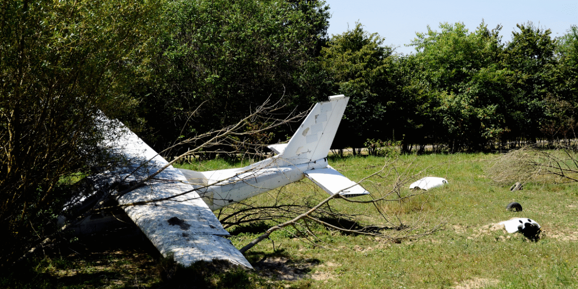 Wreckage of a small white aircraft lying among trees and branches in a grassy area.
